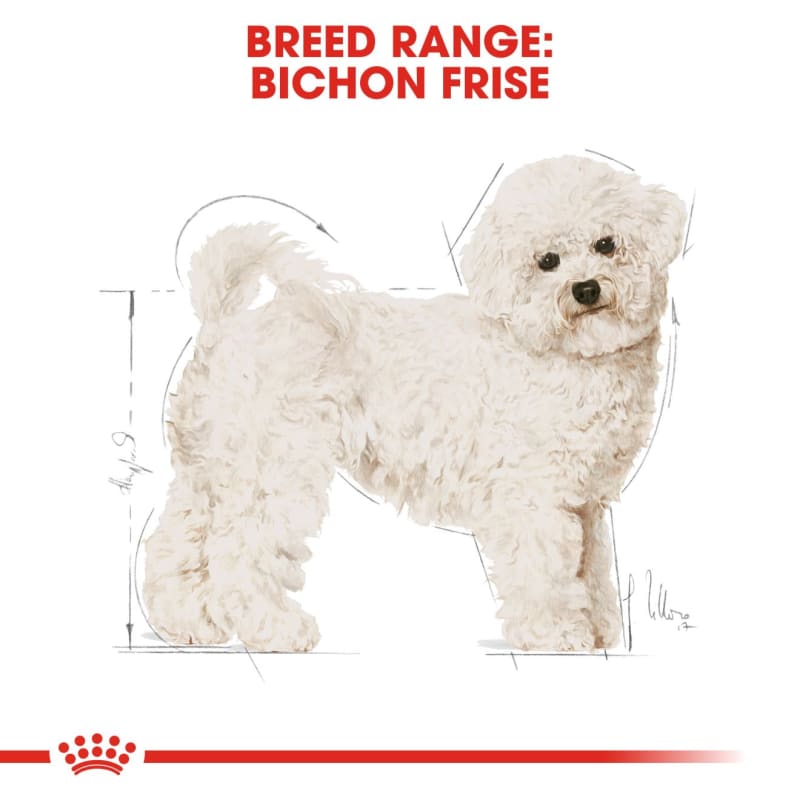 Best dog food for bichon frise with allergies on sale