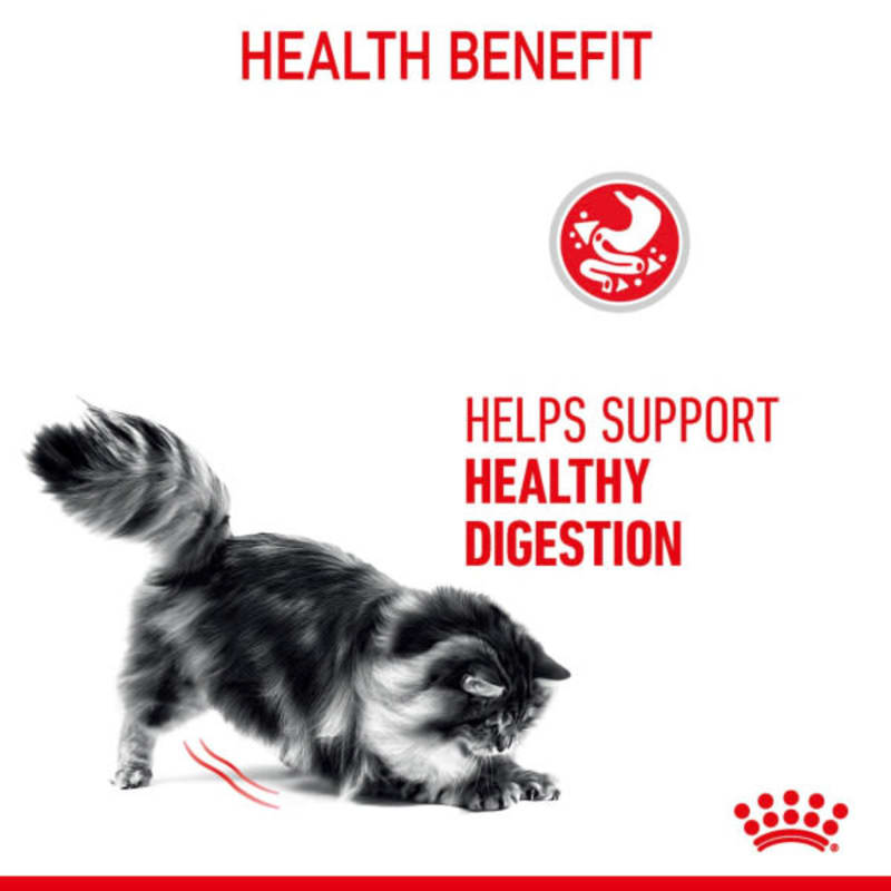 Royal canin sensitive on sale stomach wet cat food