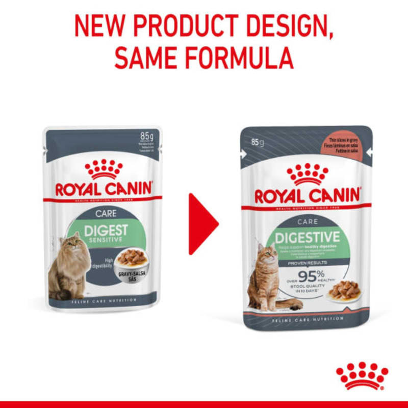 Best cat food for constipation uk cheap