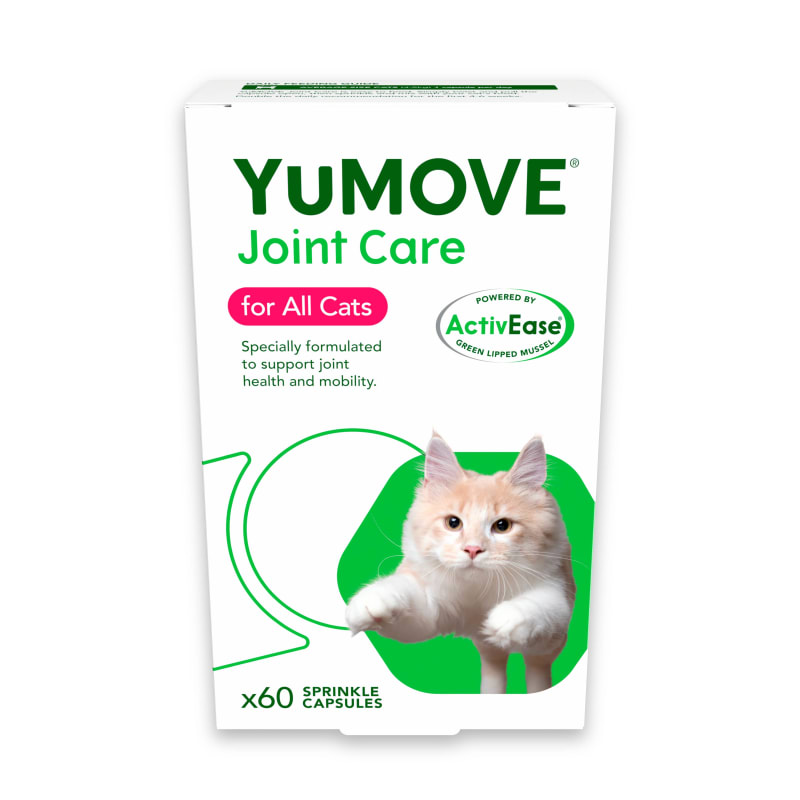 Pet all the cats hot sale