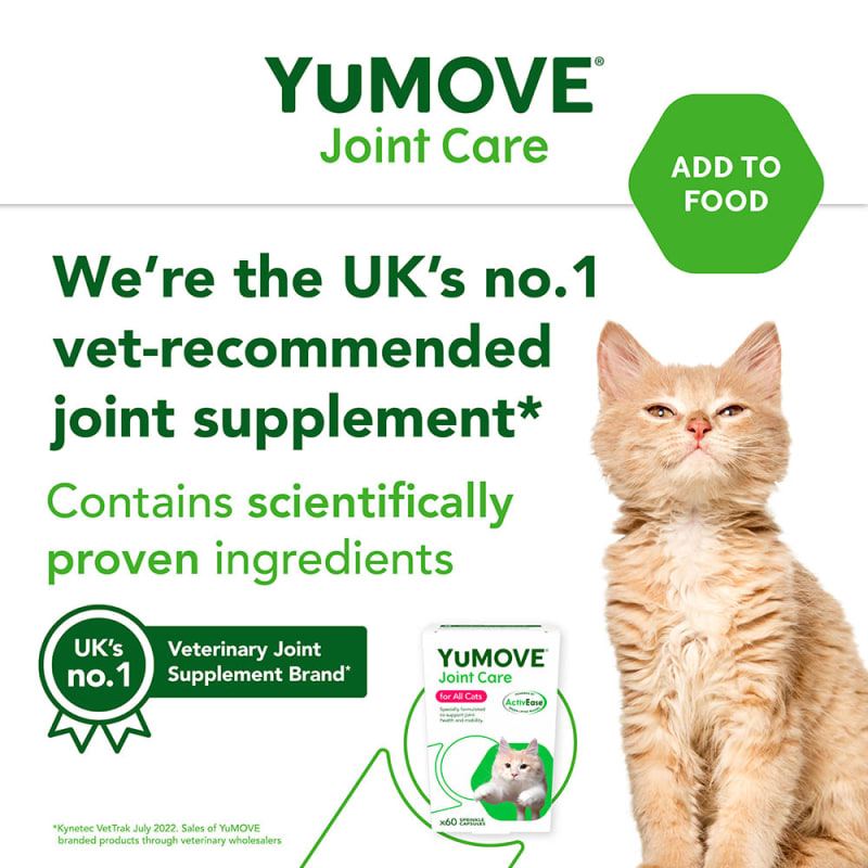 All cats care top