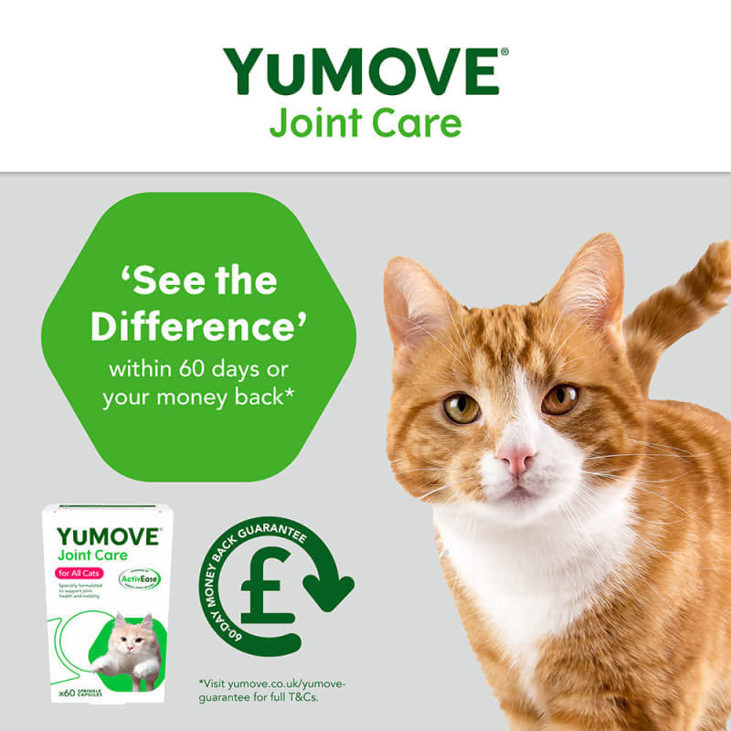 Yumove for shop cats best price