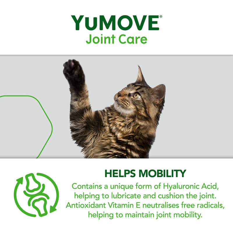 Joint care for cats discount