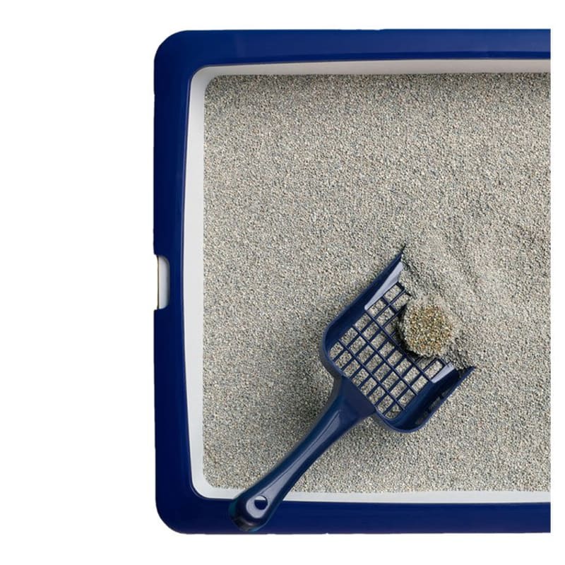 Catsan Ultra Plus Clumping Kitten Pet Supermarket