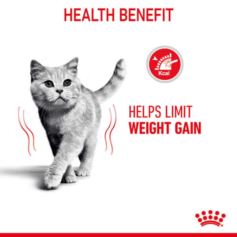Royal Canin Feline Care Nutrition Pet Supermarket