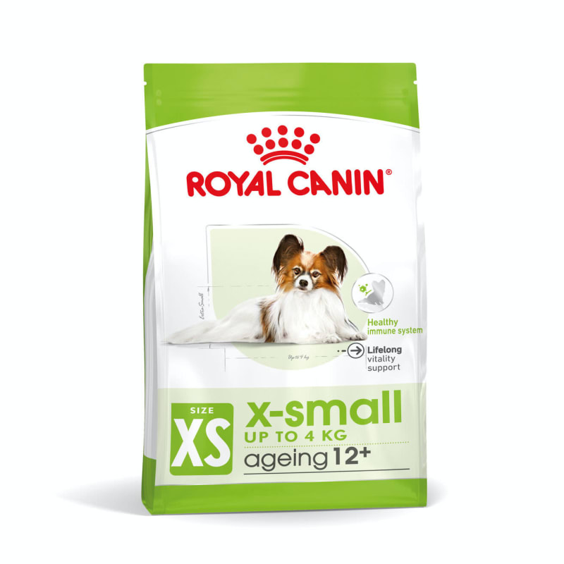 Mature small dog online
