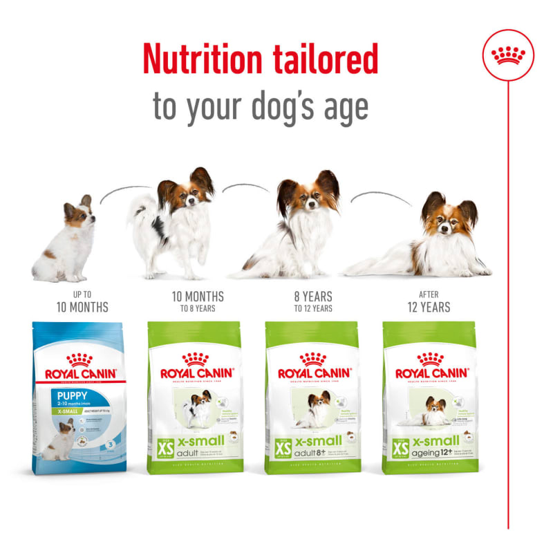 Royal canin x small puppy food 2025