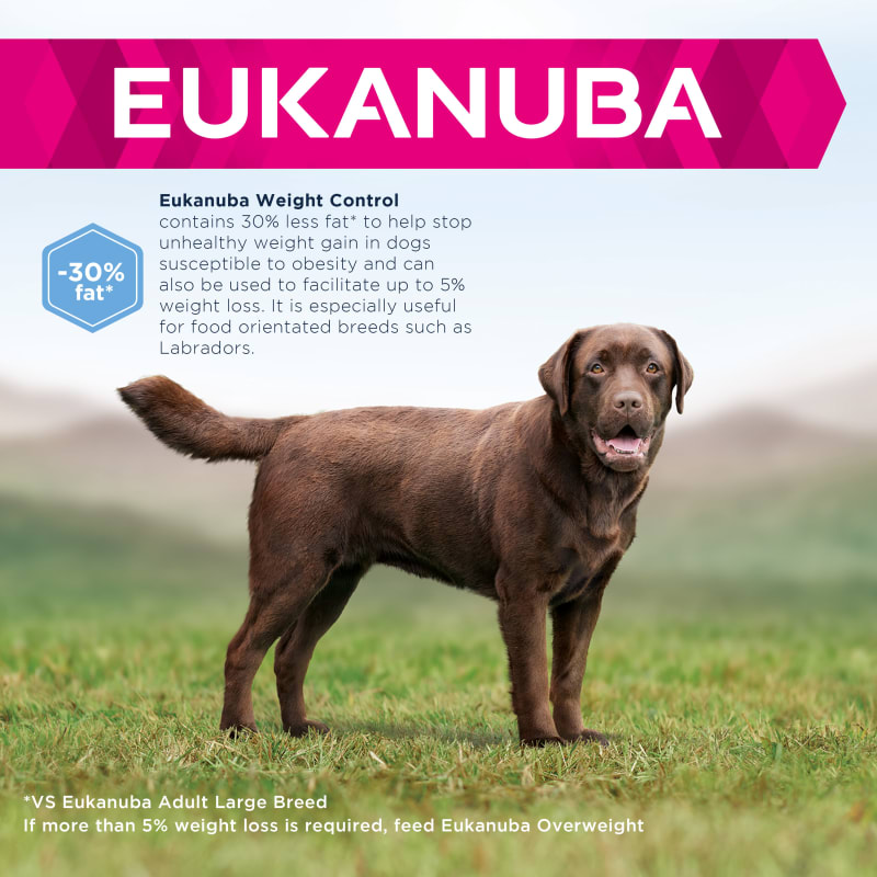 Eukanuba breed specific labrador retriever top