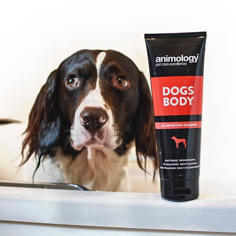 Pet supermarket dog shampoo cheap