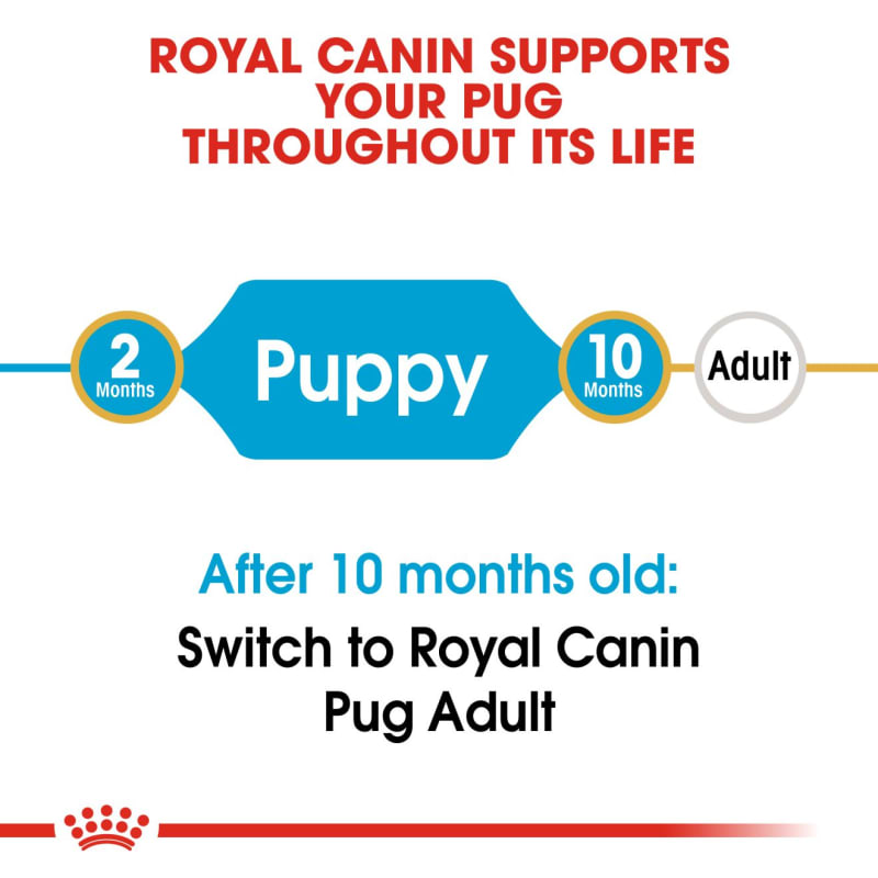 Royal canin pug review best sale