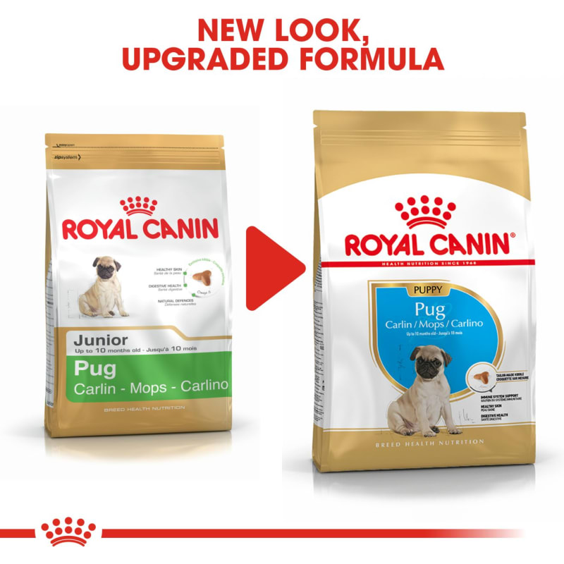 Pug puppy new arrivals food
