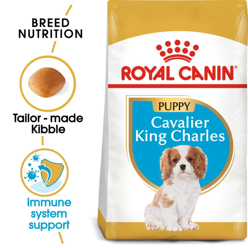 Best dry dog food for cavalier king charles spaniel uk sale