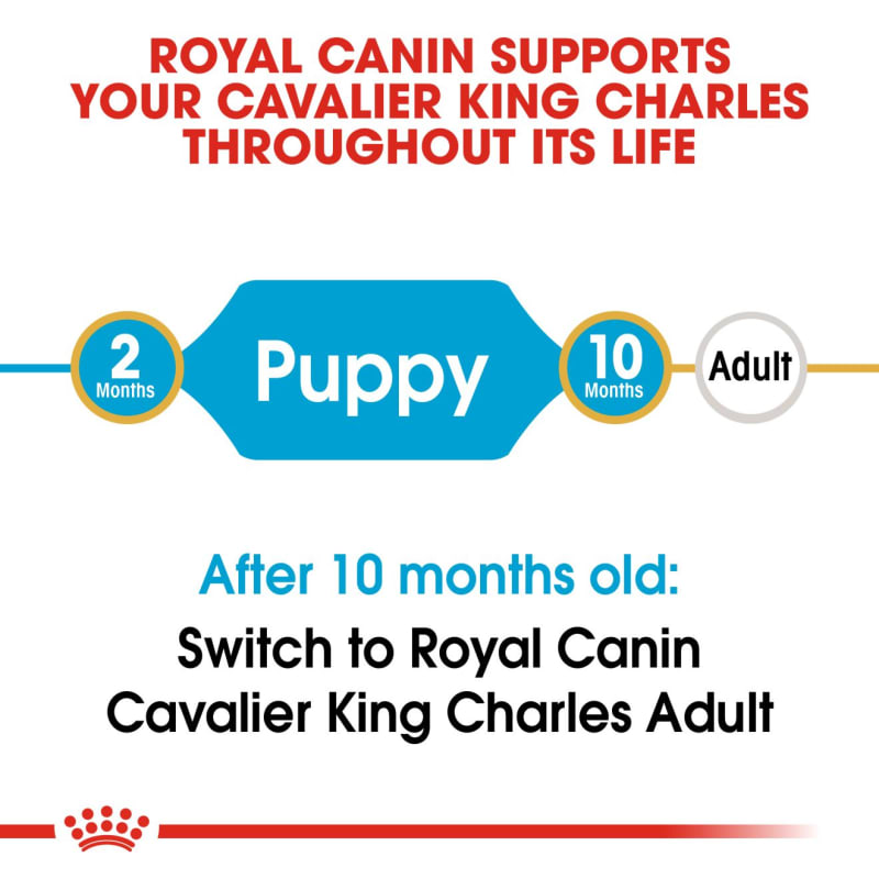 Royal canin king cheap charles dog food