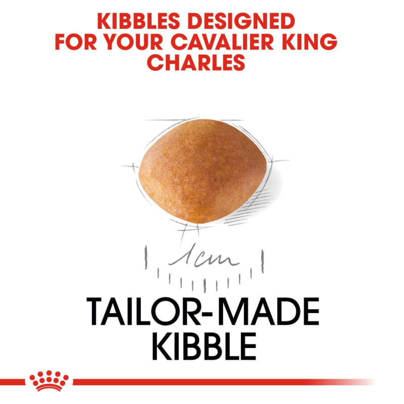 Royal canin cavalier hot sale king charles dog food