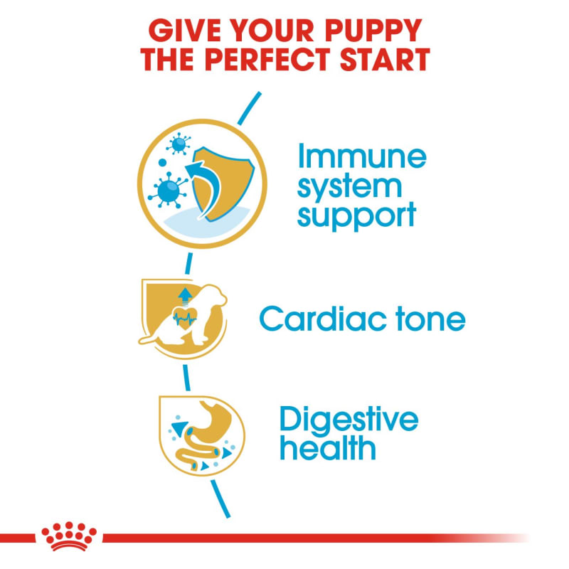 Royal canin puppy food for cavalier king charles cheap