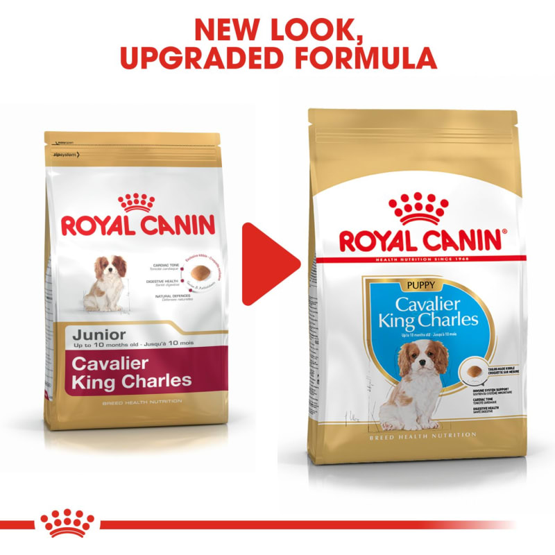 Royal canin cavalier 7.5 kg hot sale