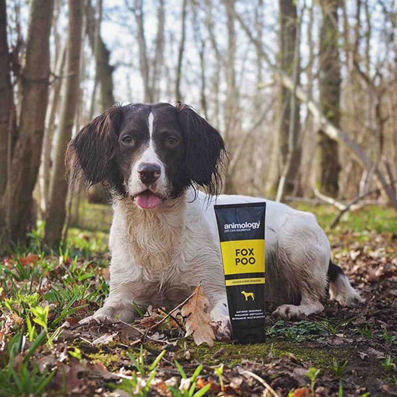 Animology Fox Poo Odour Poo Pet Supermarket