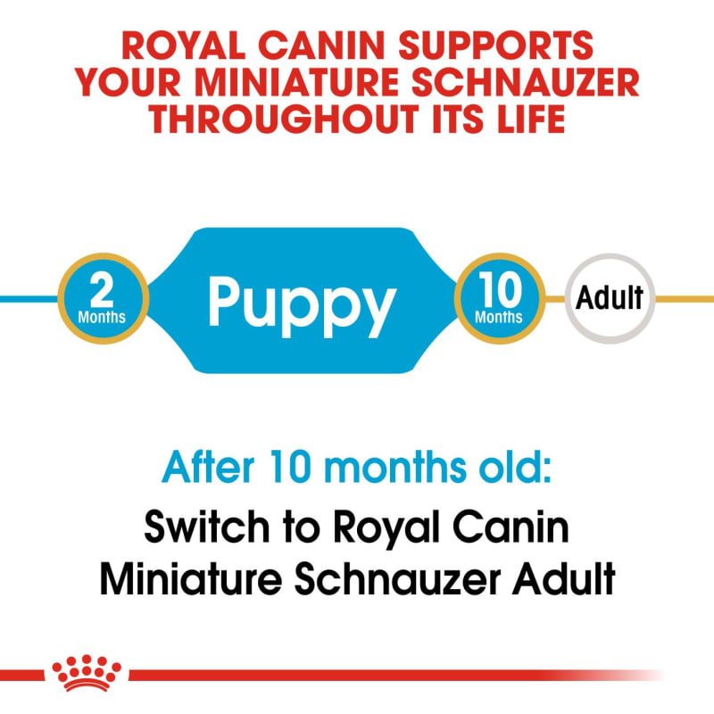 Mini schnauzer hot sale royal canin