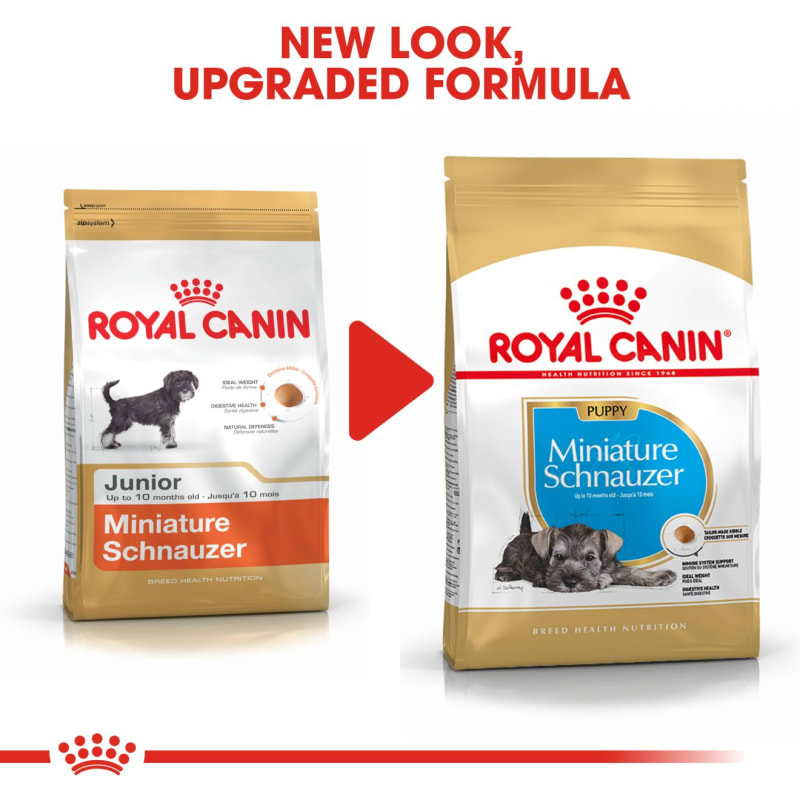Royal canin miniature schnauzer food clearance