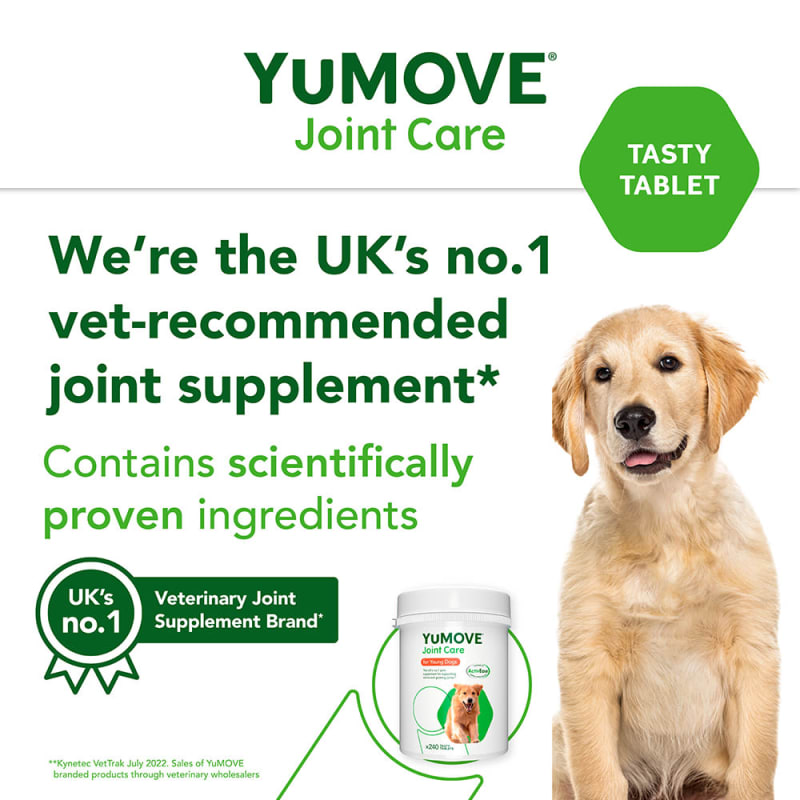 You move cheap tablets for dogs
