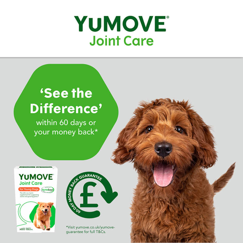 Yumove sales dog treats