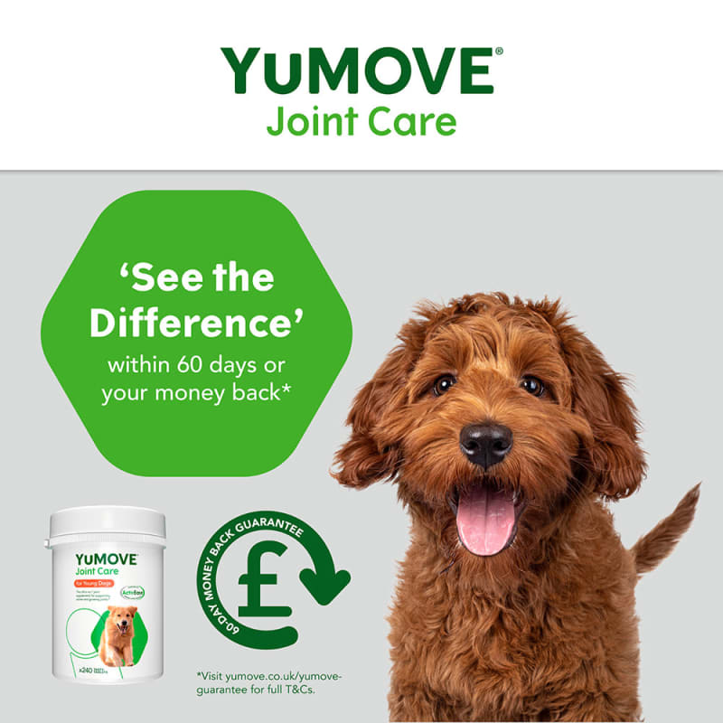 Yumove for dogs pets at home online