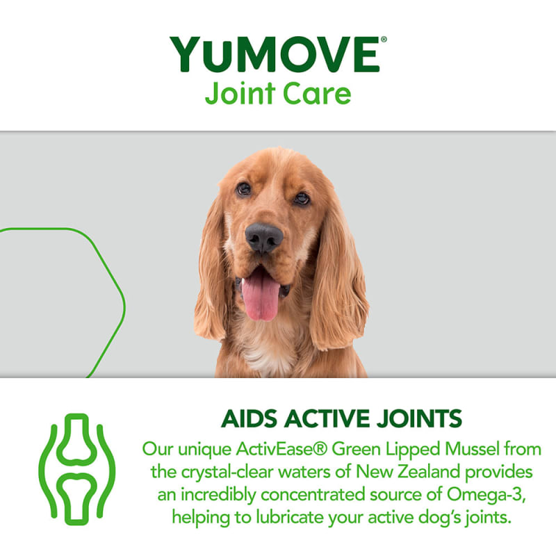 Yumove active dog new arrivals