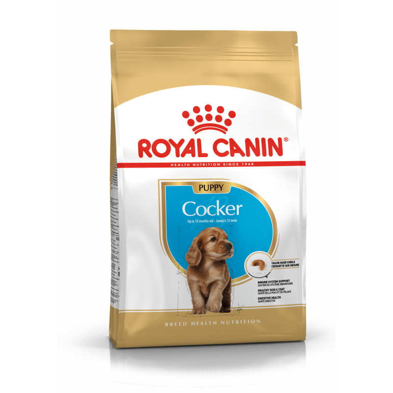Royal canin cockapoo food top