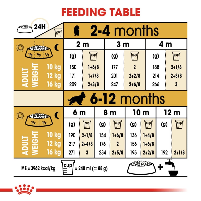 Royal canin sales dog food chart