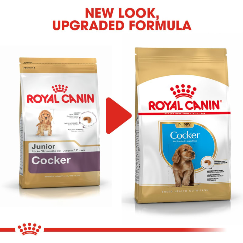 Food for best sale cocker spaniel puppies