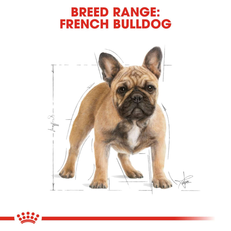 Royal canin french bulldog puppy dry dog food top
