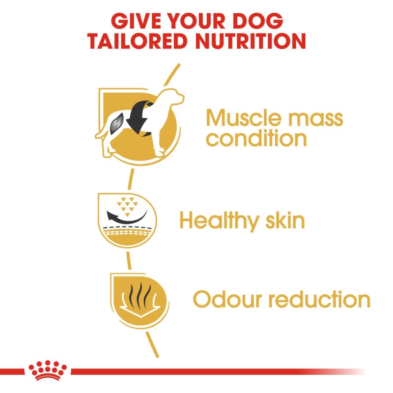 Royal canin hypoallergenic french bulldog hot sale