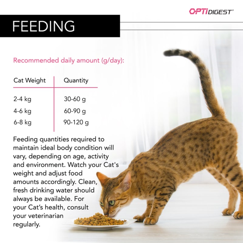 Ideal cat food new arrivals