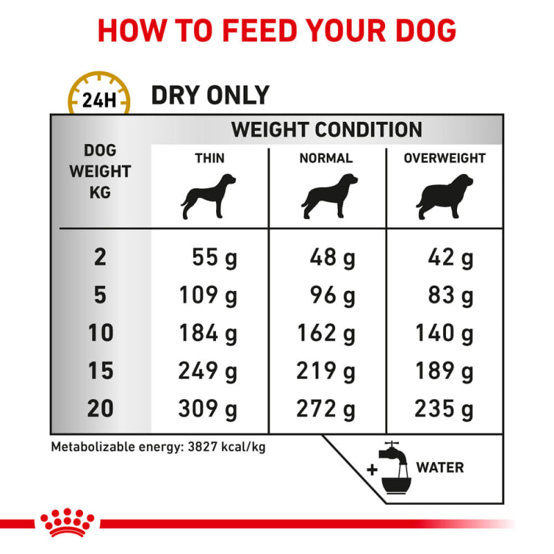Royal new arrivals canin c
