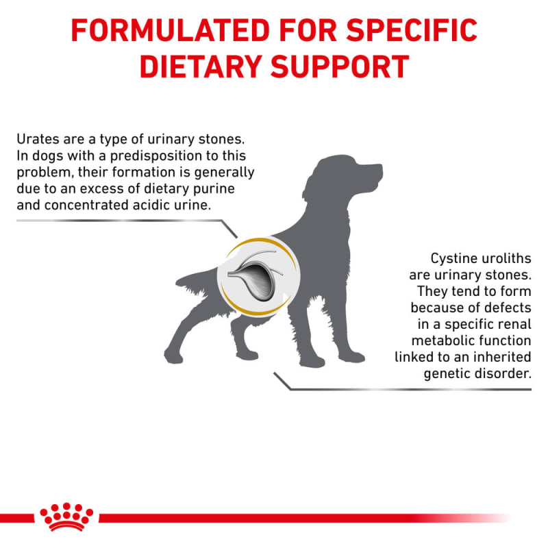 Royal canin best sale cystine