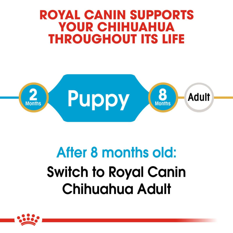Chihuahua puppy royal canin clearance