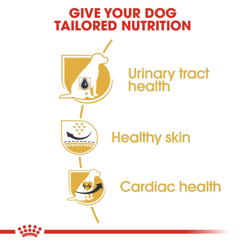 Royal canin outlet dalmatian adult