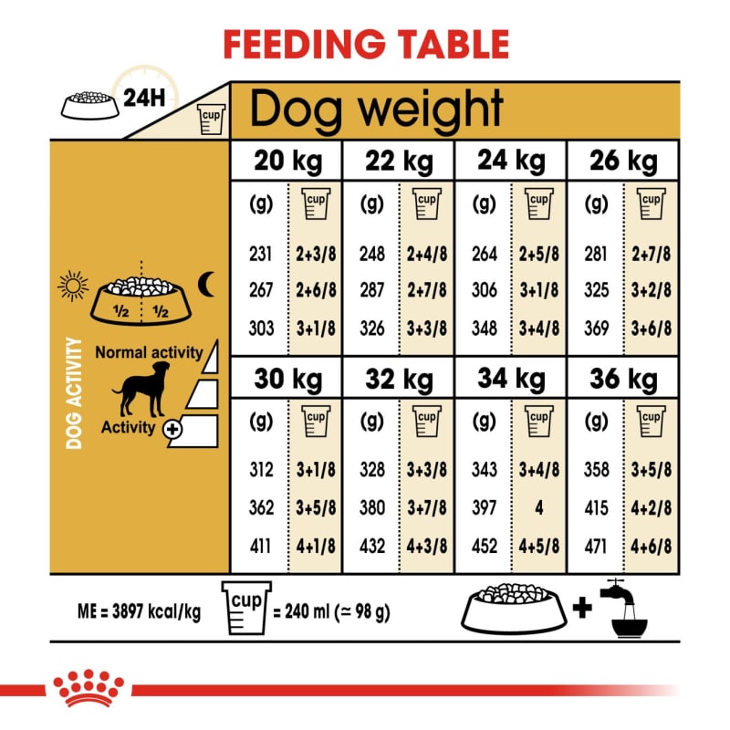 Royal Canin Dalmatian Adult Dog Dry Pet Supermarket