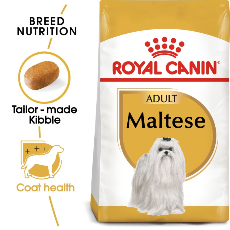 Best food for maltese puppy uk clearance