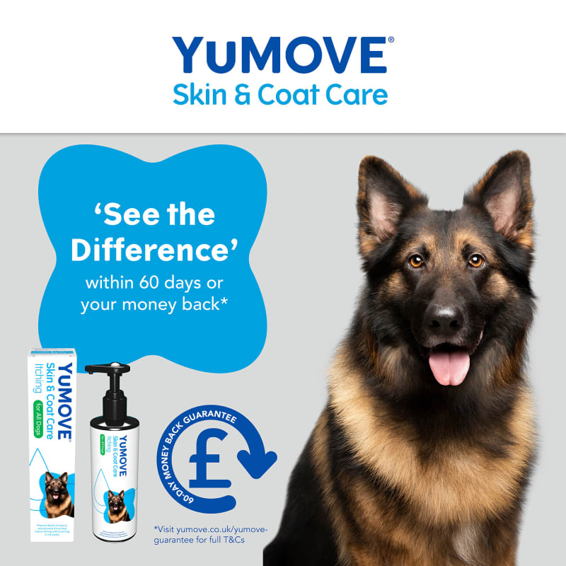 Lintbells yumega itchy dog cheap