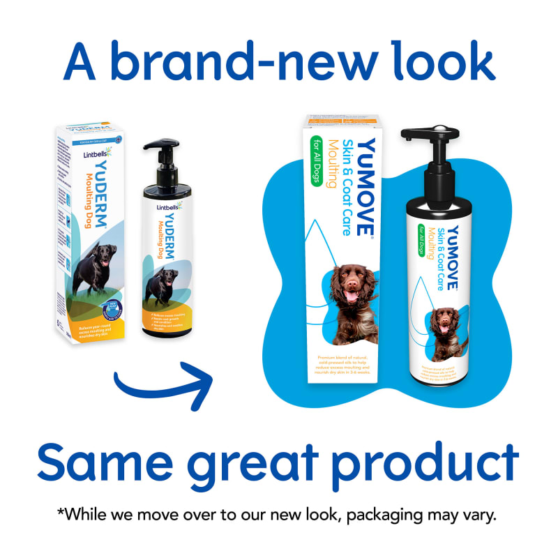 Dog moulting coat sale