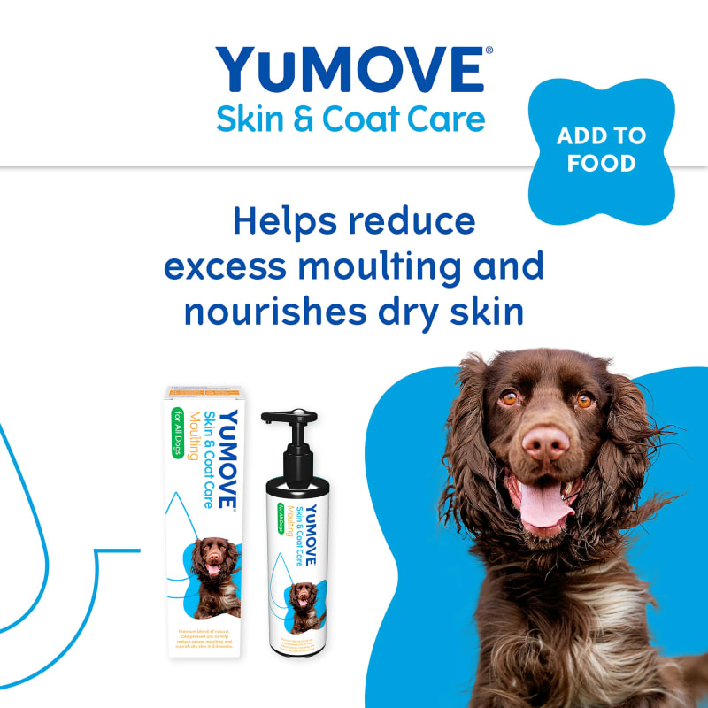 Dog moulting shampoo sale