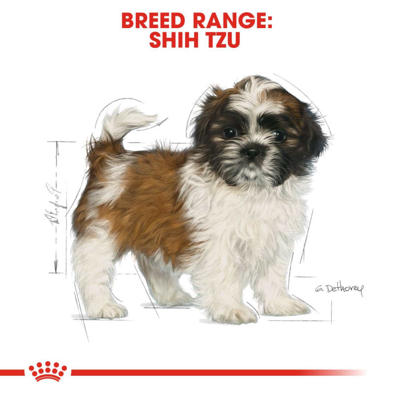 Chewy royal canin shih hot sale tzu