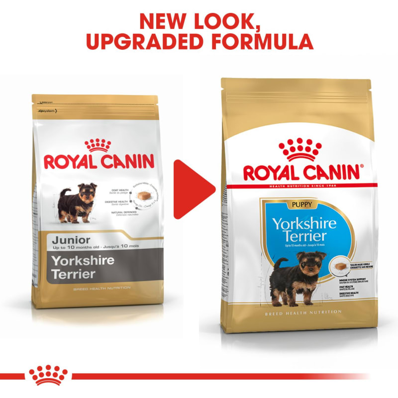 Royal canin yorkie dog food outlet