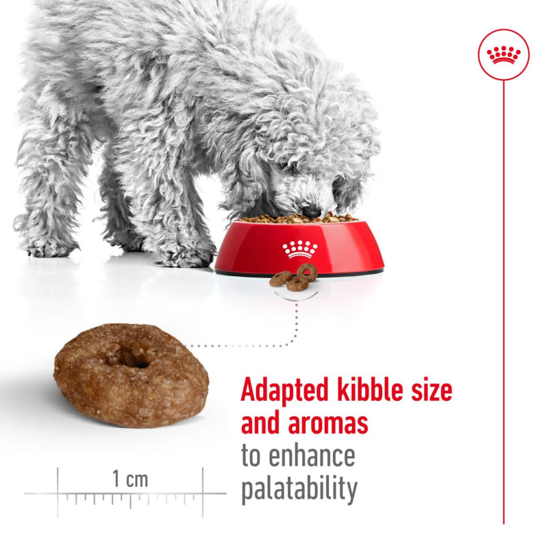 Royal Canin Size Health Nutrition Pet Supermarket