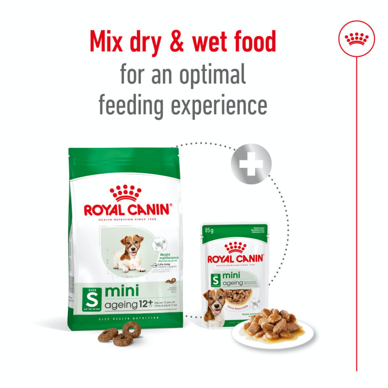 Royal canin mini aging best sale 12 plus senior dog food