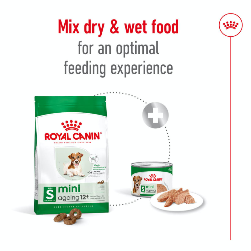 Royal canin mini ageing shop