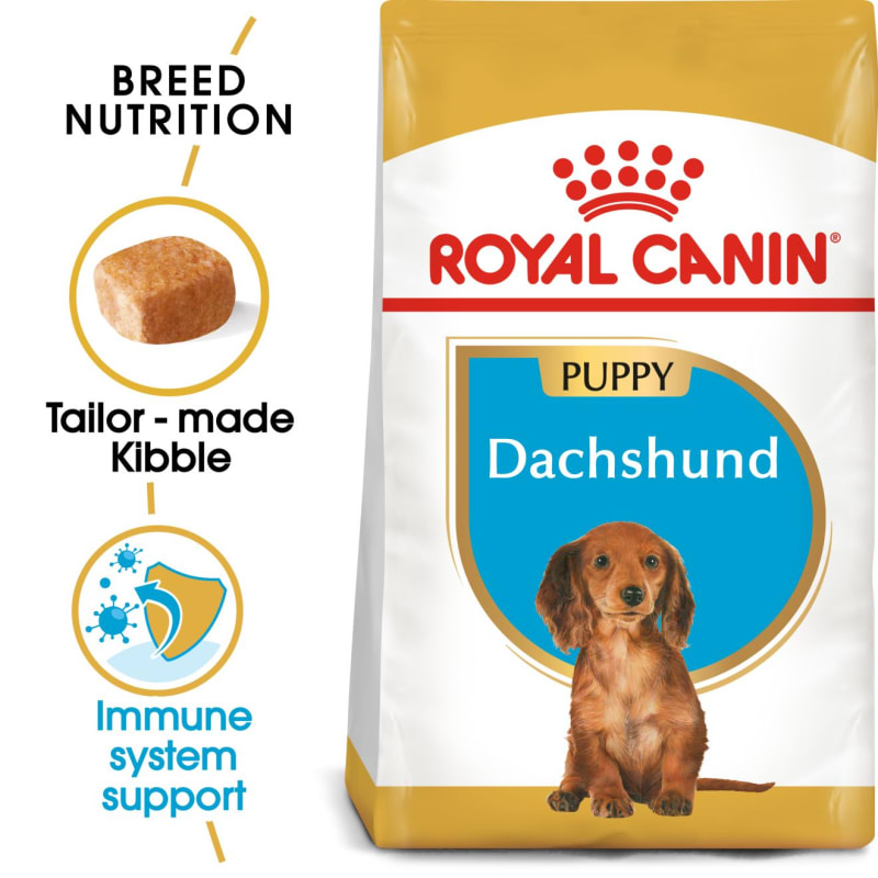Best dog food for 9 month old puppy cheap