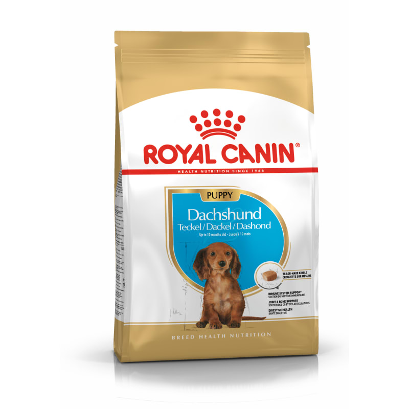 Best food for miniature dachshund store