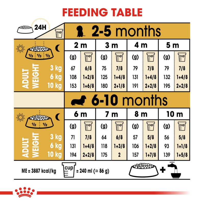 Best food for mini dachshund puppy sale